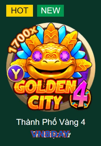 VN8DAY