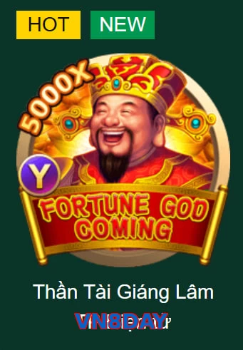 VN8DAY